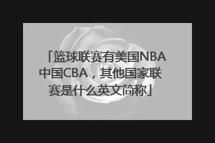 篮球联赛有美国NBA中国CBA，其他国家联赛是什么英文简称
